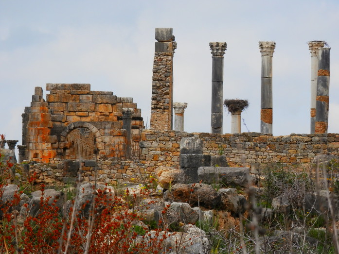 Roman columns at Volubilis
