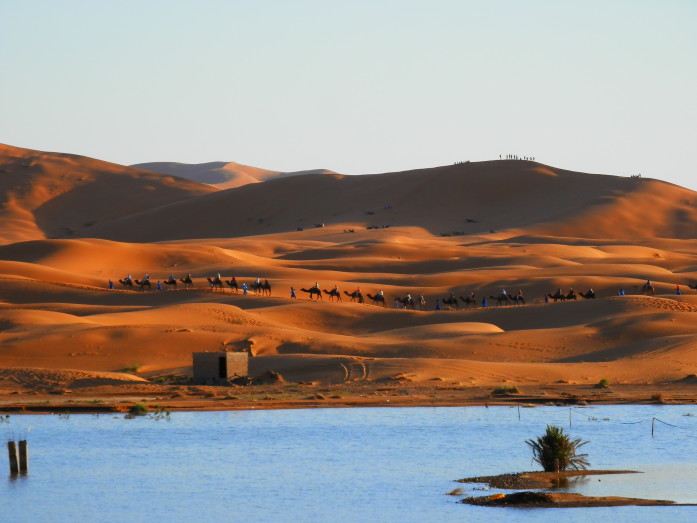 Camel trekker enter the Sahara at Erg Chebbi. In the foreground in a small lake from a once-in-a-decade rainfall.