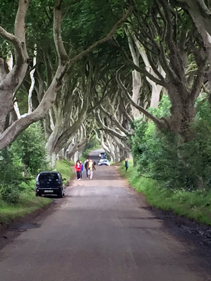 The Dark Hedges