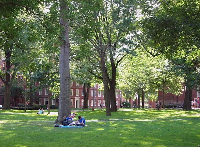 Harvard Yard (Photo from www.cambridge.com)