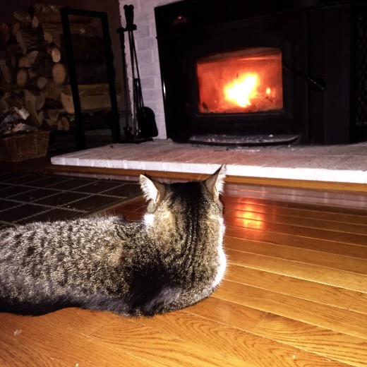 Robert hangs out by the fire like a boss in the Berkshires